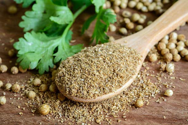 تصویر 1 از خرید و قیمت تخم گشنیز ترد + فروش عمده